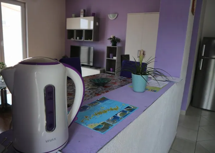 Apartment Loncarevic